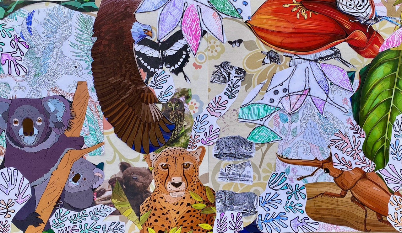 A collage of cutout images with birds, insects, trees, and leopard, by Andrea Monds